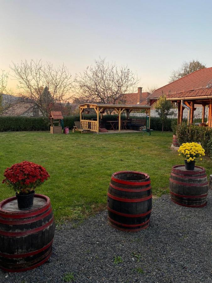 Zimmer Feri Vendeghaz Hotel Abaújszántó Екстериор снимка