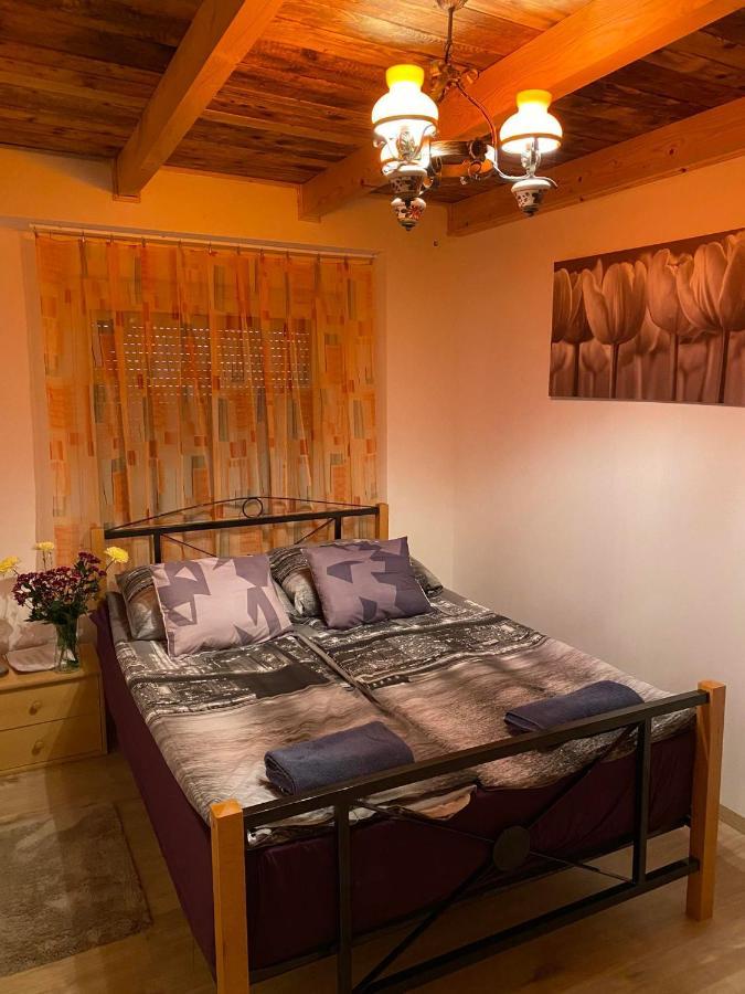 Zimmer Feri Vendeghaz Hotel Abaújszántó Екстериор снимка