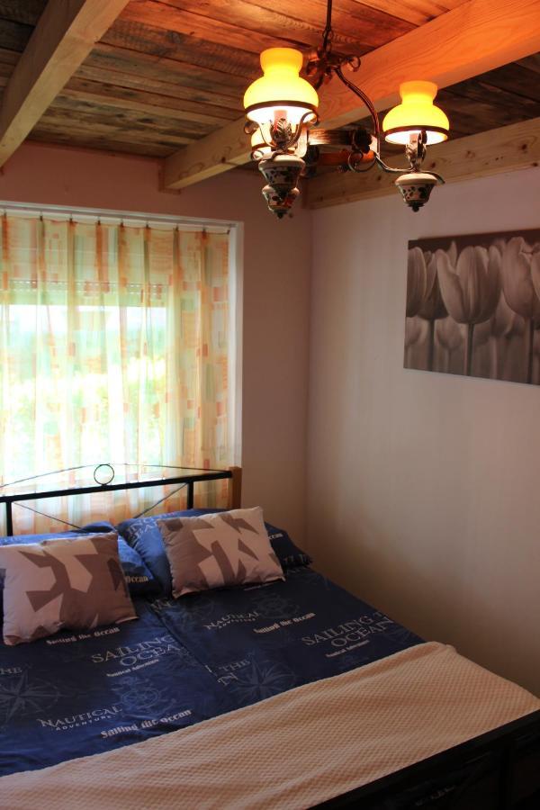 Zimmer Feri Vendeghaz Hotel Abaújszántó Екстериор снимка